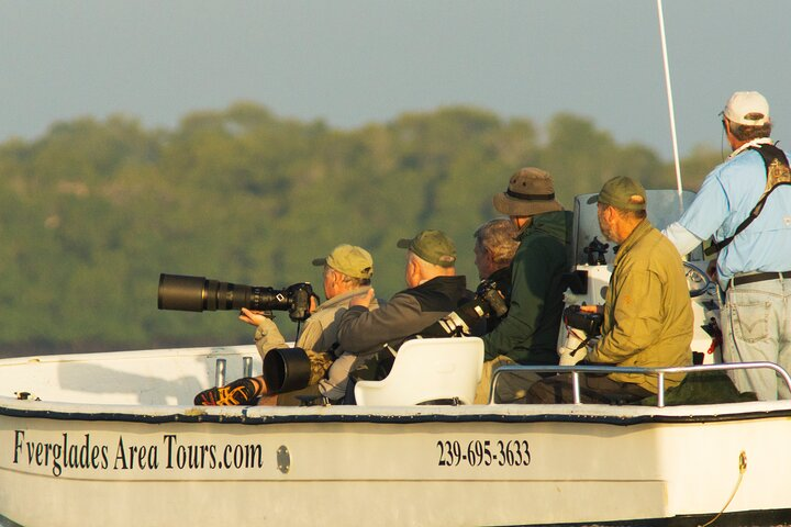 Private Everglades 10,000 Islands Photo and Birding Boat Safari - Photo 1 of 9
